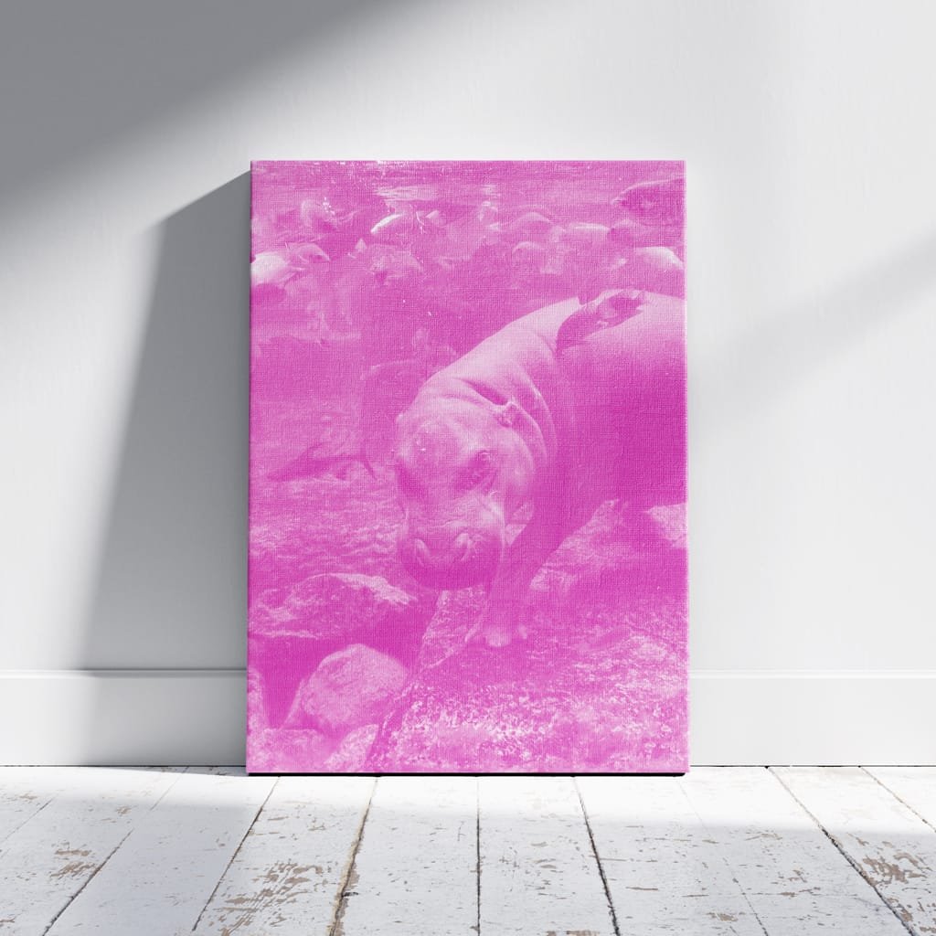 Gallery Wrapped Canvas